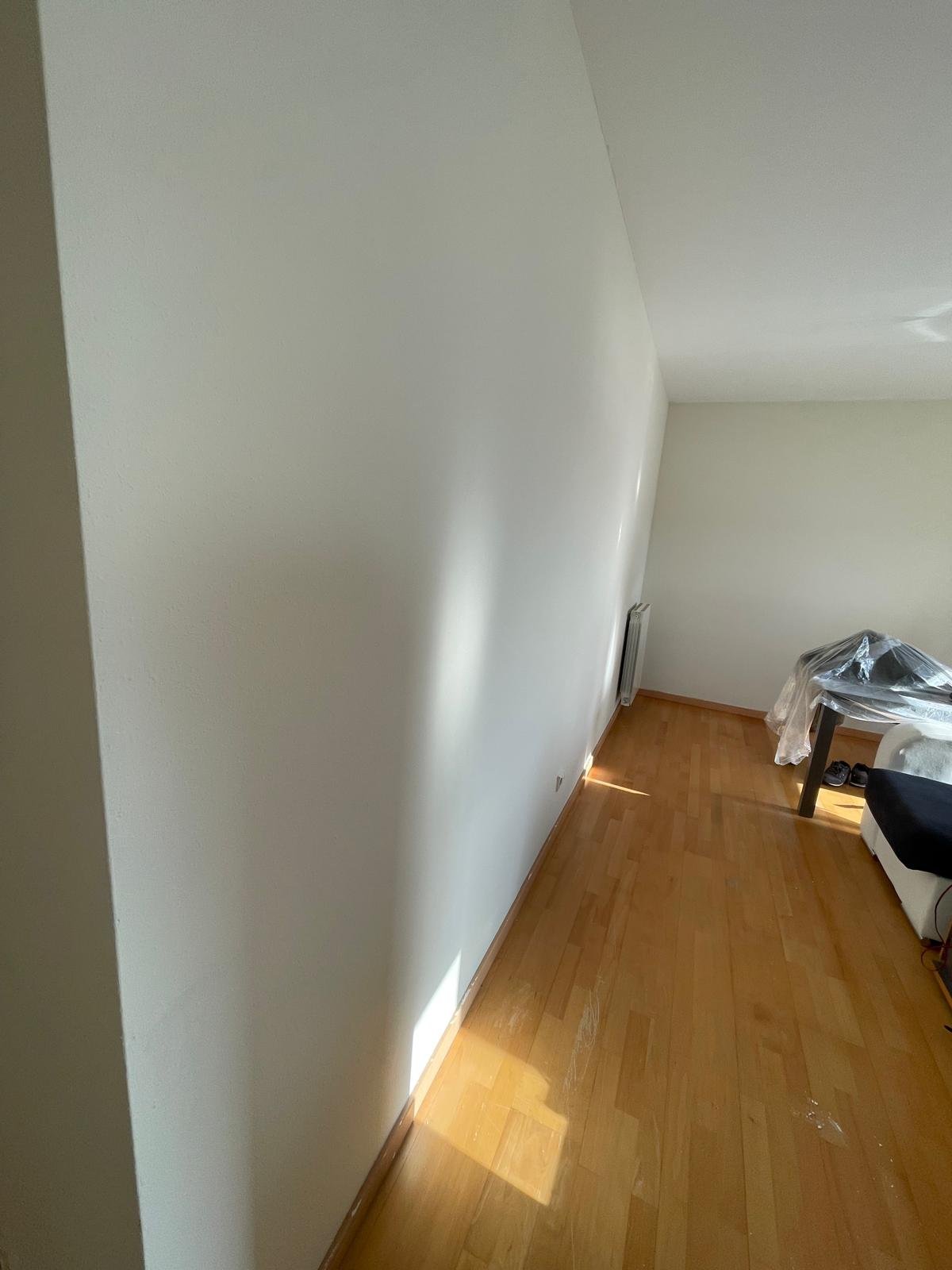 Trabajo de pintura realizado por Fiz Pinturas en Vitoria-Gasteiz